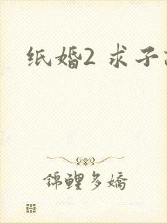 纸婚2 求子记