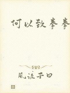 何以致拳拳番外