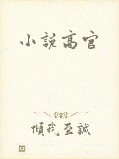 小说高官
