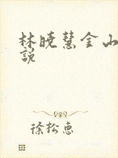 林晓慧金山的小说