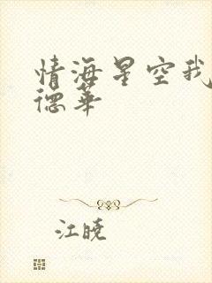 情海星空我与刘德华