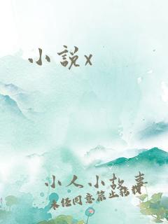 小说x
