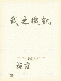 武之机凯