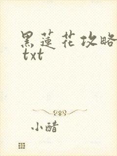 黑莲花攻略手册 txt