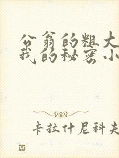 公翁的粗大放进我的秘密小说