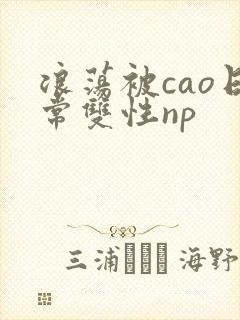 浪荡被cao日常双性np