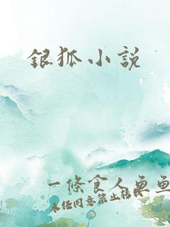 银狐小说