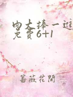 肉大捧一进一出免费6+1