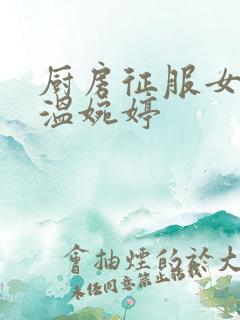 厨房征服女市长温婉婷