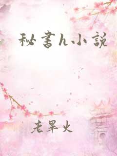 秘书h小说
