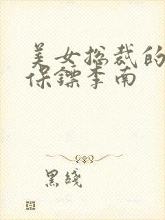 美女总裁的护花保镖李南