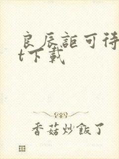 良辰讵可待txt下载