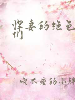 悍妻的绝色夫君们