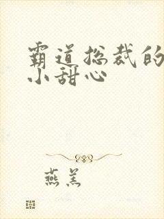 霸道总裁的宠爱小甜心