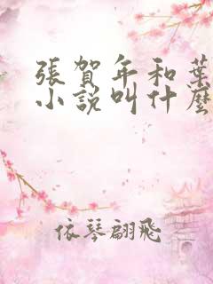 张贺年和叶繁姿小说叫什么名字