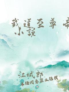 武道至尊 帝临 小说