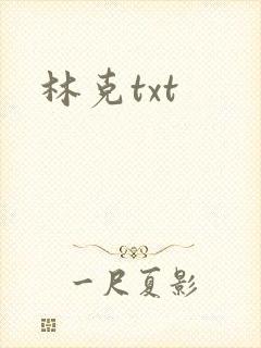 林克txt