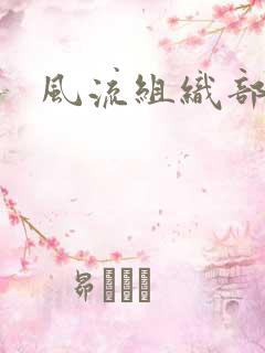 风流组织部长