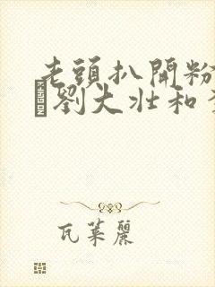 老头扒开粉嫩小泬刘大壮和李娇娇