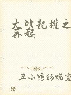 大明龙权之风云再起