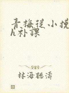 青梅从小摸到大h补课