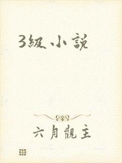 3级小说