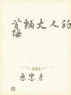 首辅大人的小青梅