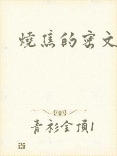 烧焦的密文