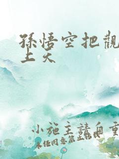 孙悟空把观音日上天