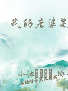 我的老婆是火影