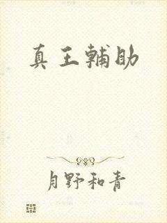 真王辅助