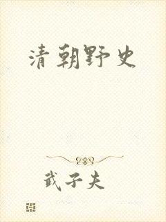 清朝野史