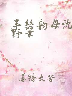 丰丝韵母沈蓉书野笔