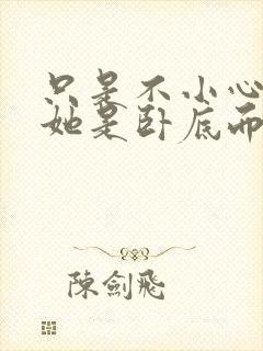 只是不小心发现她是卧底而已