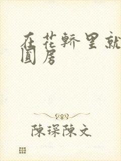 在花轿里就开始圆房