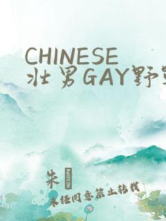 CHINESE壮男GAY野战强迫TUBE