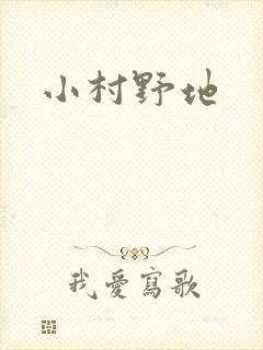 小村野地