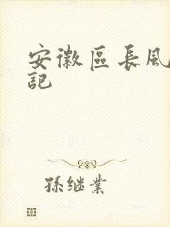 安徽区长风流日记