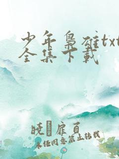 少年枭雄txt全集下载