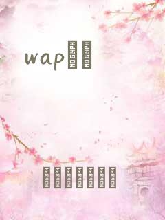 wapС˵