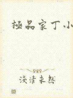 极品家丁小说