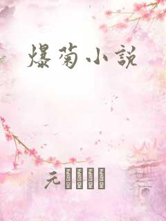 爆菊小说