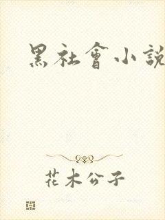 黑社会小说下载