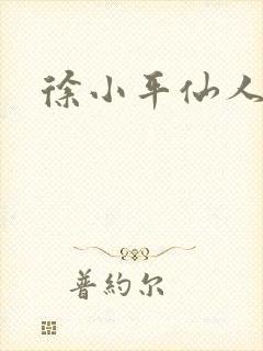 徐小平仙人指路