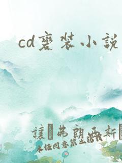 cd变装小说