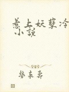 惹上妖孽冷殿下 小说