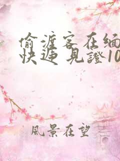 偷渡客在缅北送快递 见证100种逃亡