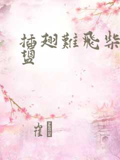 插翅难飞柴米油盐