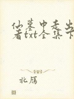 仙墓中走出的强者txt全集下载