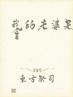 我的老婆是黑社会